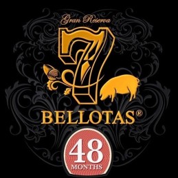 Jambon 7 BELLOTAS 100% ibérique