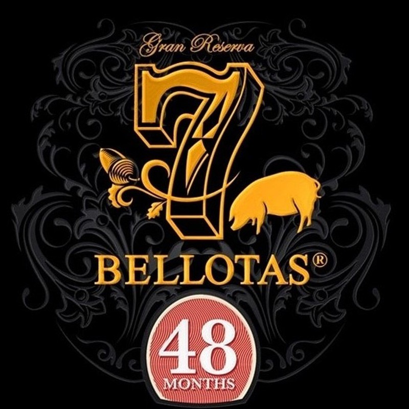 Prosciutto di bellota 100% iberico 7 BELLOTAS