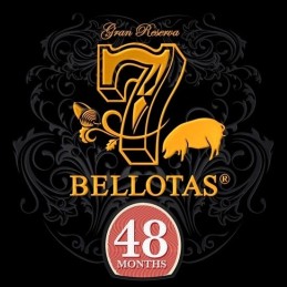 Prosciutto spagnolo pata negra Ibérico bellota
