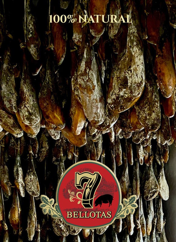 Why the New Spanish Jamón Ibérico Law Falls Short | A Critical Analysis 1 JAMON IBERICO