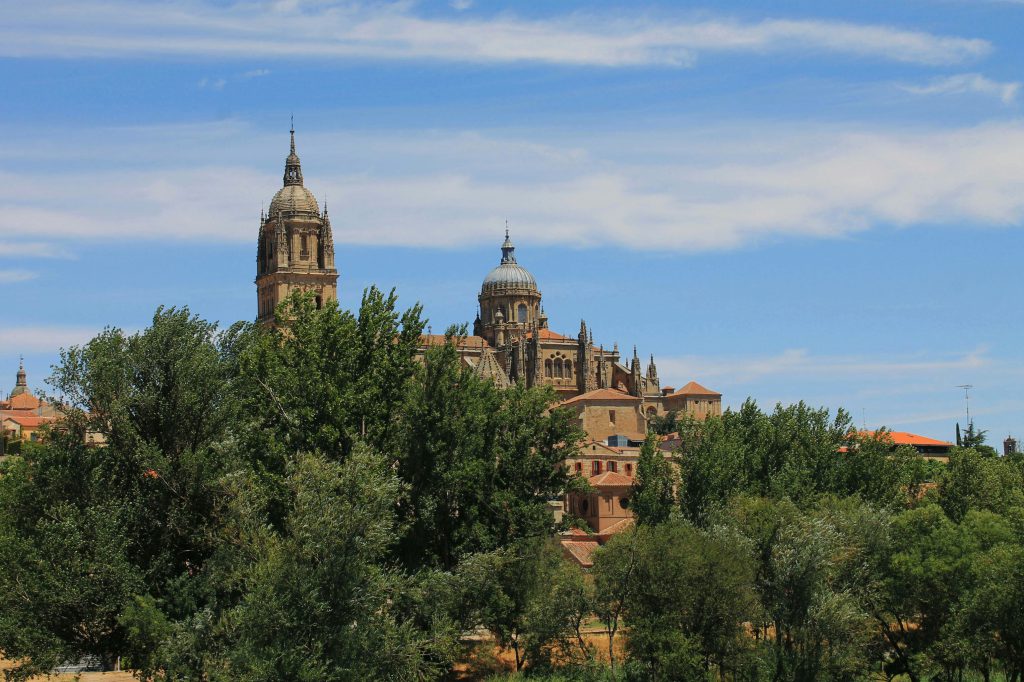 Salamanca History and Jamón Ibérico | Exploring the History, Spanish Ham and Traditional Sausages 4 Salamanca History and Jamón Ibérico