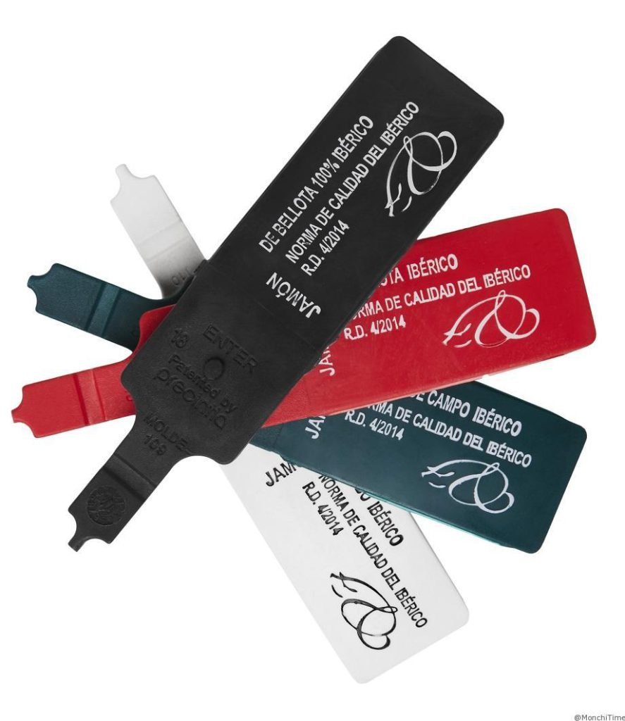 How to Choose the Best Iberian Acorn-Fed Jamón | An Ultimate Complete Guide 6 labels Jamón ibérico de bellota