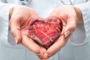 Jamón Ibérico de Bellota Health Benefits | Why This Gourmet Ham Is Surprisingly Good for You