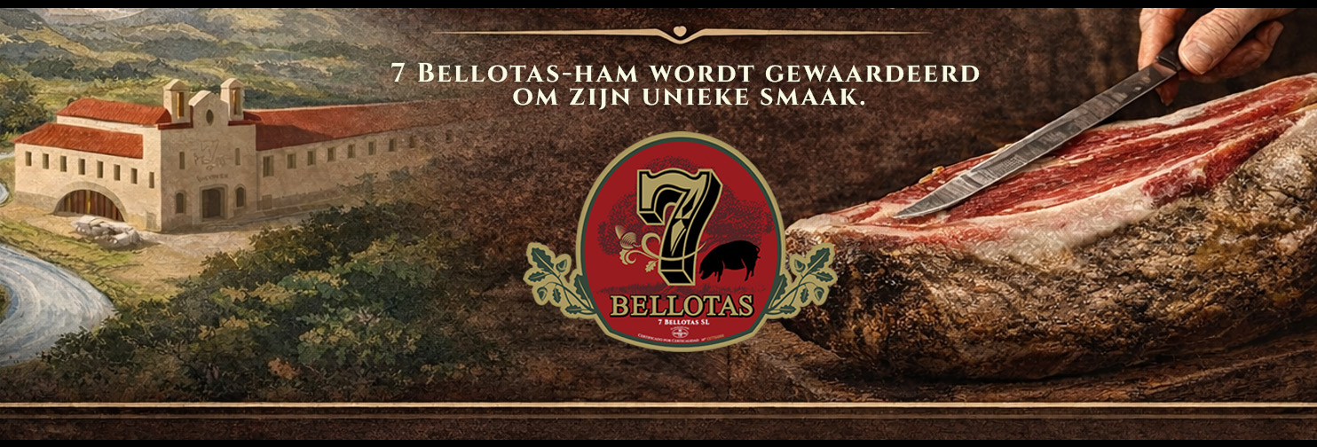 7 BELLOTAS Iberico Schinken