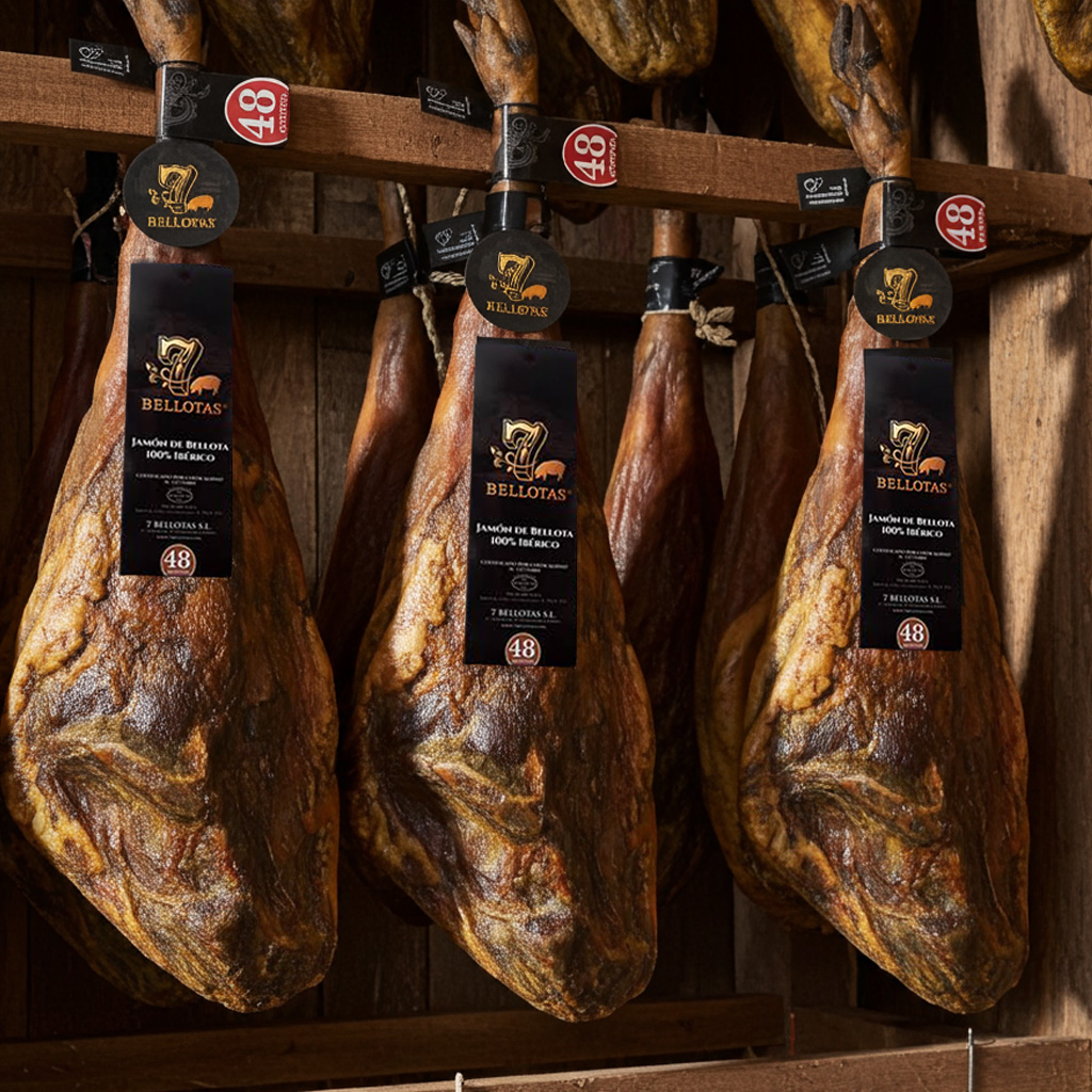 iberischer eichel-schinken kaufen (jamon iberico bellota)