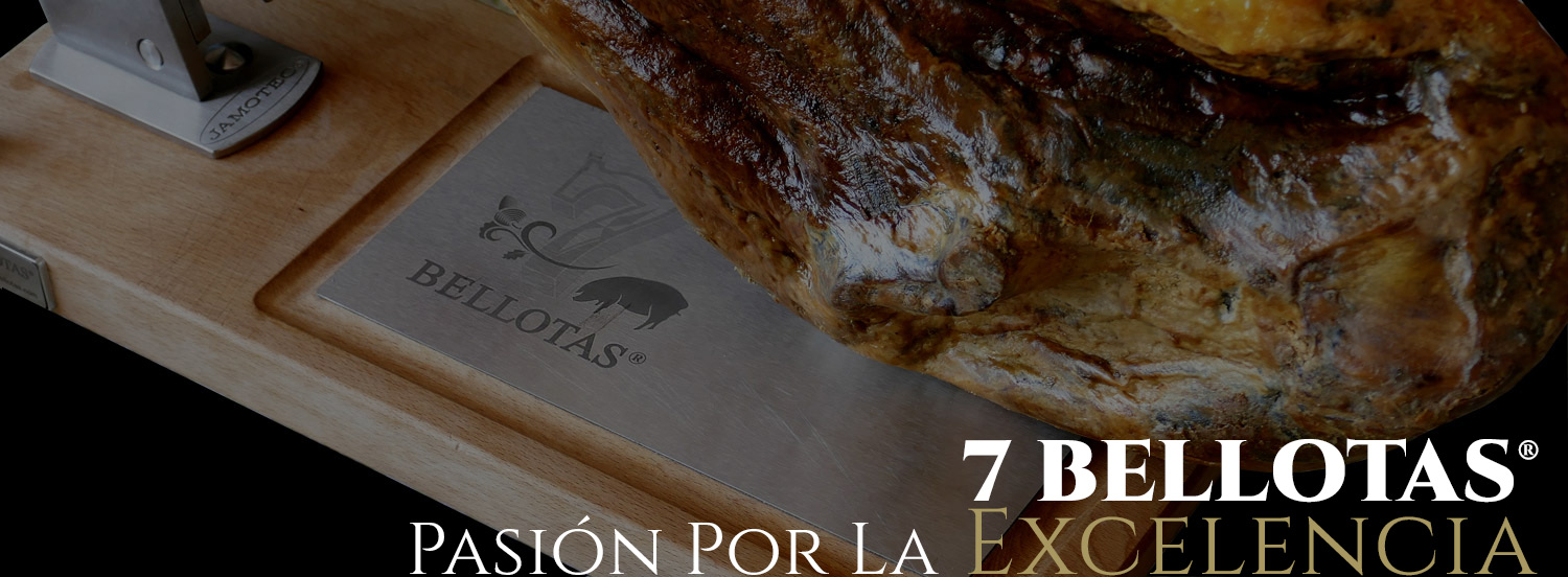 comprar jamón ibérico, jamón de bellota español