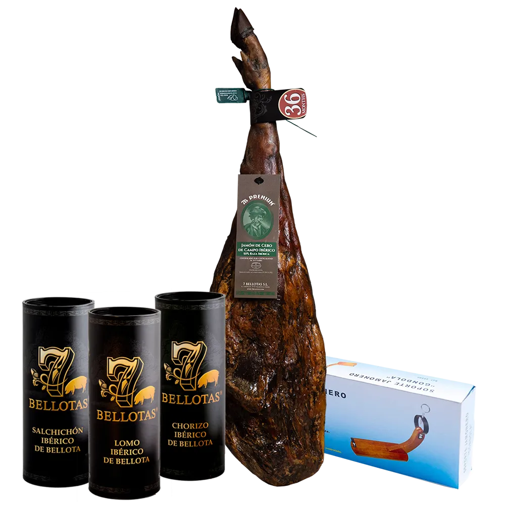 jamon iberico kaufen